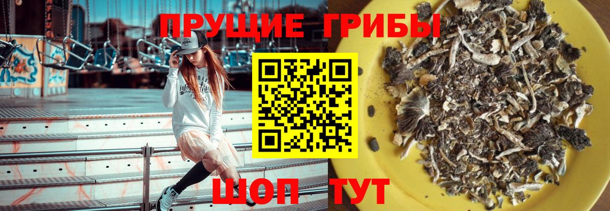 Павлово  как найти закладки  Вход с VPN  Псилоцибиновые грибы GOLDEN TEACHER 