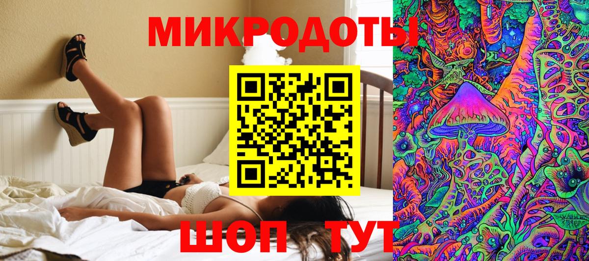Галлюциногенные грибы Psilocybe Павлово